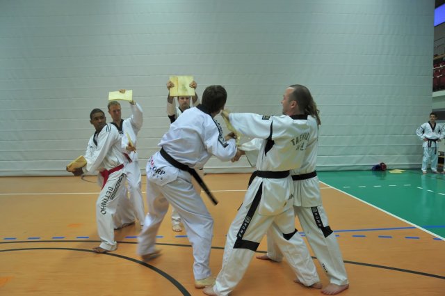 pg_dan_2010 56